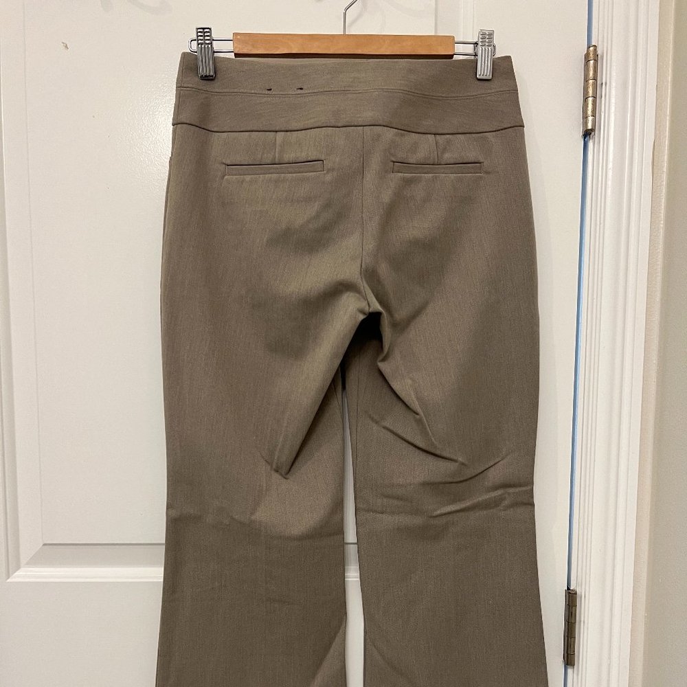 Express Editor Pants